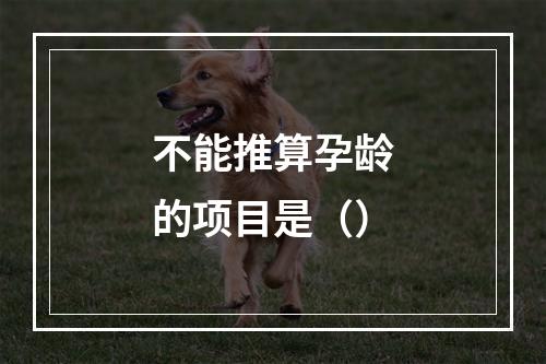 不能推算孕龄的项目是（）