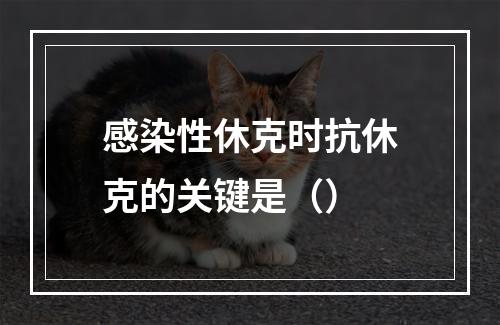 感染性休克时抗休克的关键是（）