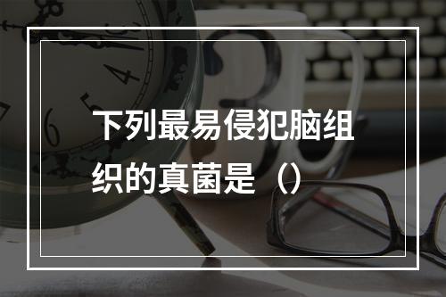 下列最易侵犯脑组织的真菌是（）