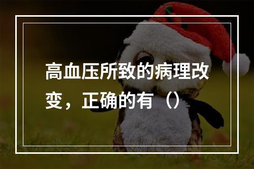 高血压所致的病理改变，正确的有（）