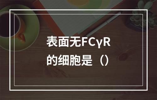 表面无FCγR的细胞是（）