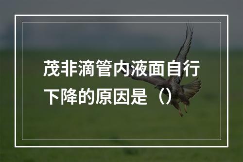 茂非滴管内液面自行下降的原因是（）