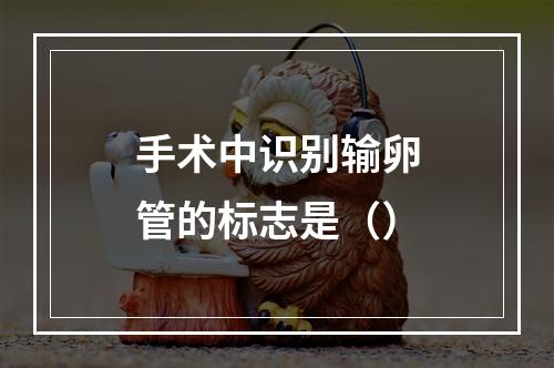 手术中识别输卵管的标志是（）