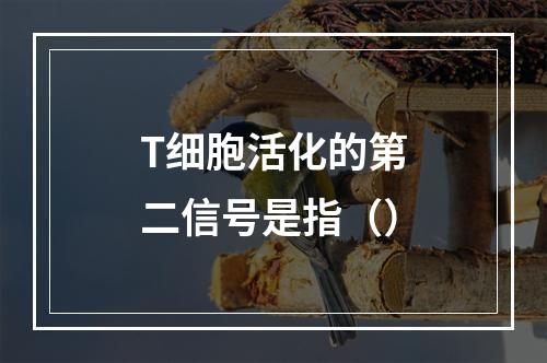 T细胞活化的第二信号是指（）