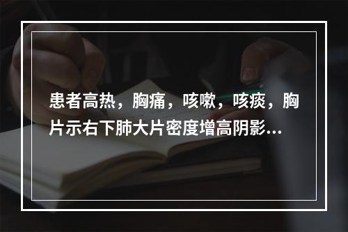 患者高热，胸痛，咳嗽，咳痰，胸片示右下肺大片密度增高阴影，在