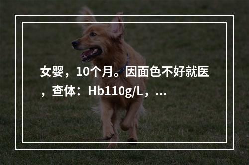 女婴，10个月。因面色不好就医，查体：Hb110g/L，为了