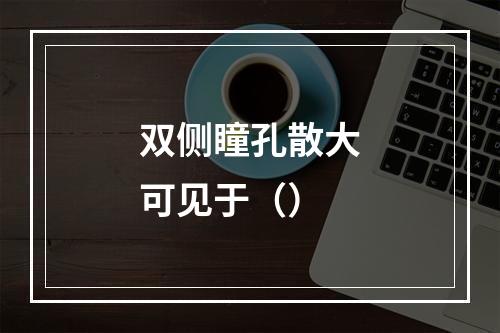 双侧瞳孔散大可见于（）