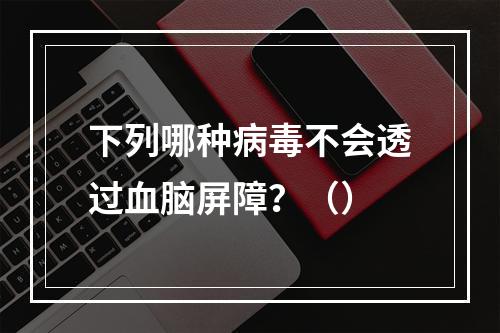 下列哪种病毒不会透过血脑屏障？（）