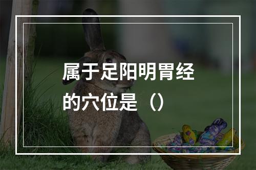 属于足阳明胃经的穴位是（）