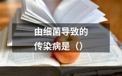 由细菌导致的传染病是（）