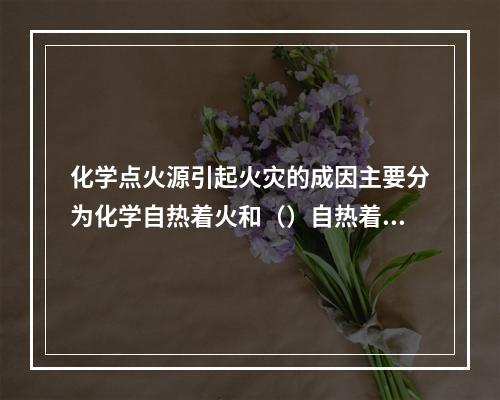 化学点火源引起火灾的成因主要分为化学自热着火和（）自热着火两