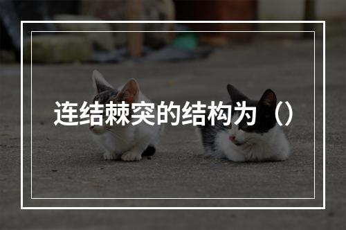 连结棘突的结构为（）