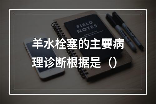 羊水栓塞的主要病理诊断根据是（）