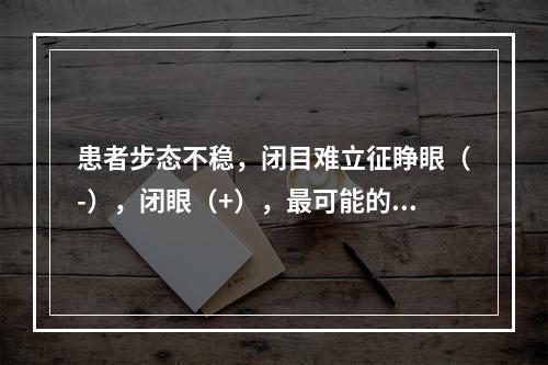 患者步态不稳，闭目难立征睁眼（-），闭眼（+），最可能的病因