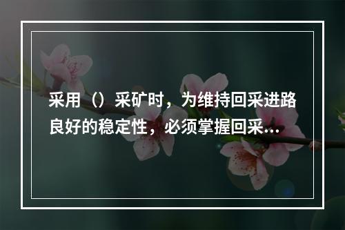 采用（）采矿时，为维持回采进路良好的稳定性，必须掌握回采进路