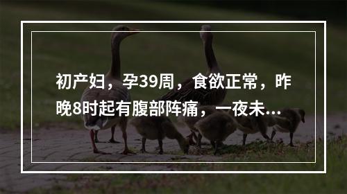 初产妇，孕39周，食欲正常，昨晚8时起有腹部阵痛，一夜未睡，