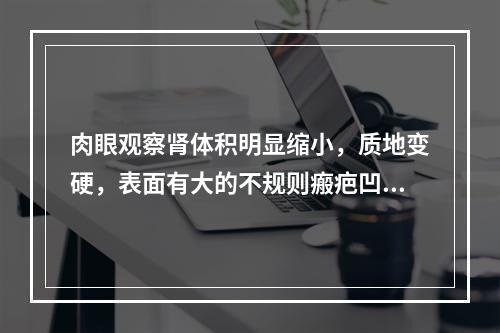 肉眼观察肾体积明显缩小，质地变硬，表面有大的不规则瘢疤凹陷。