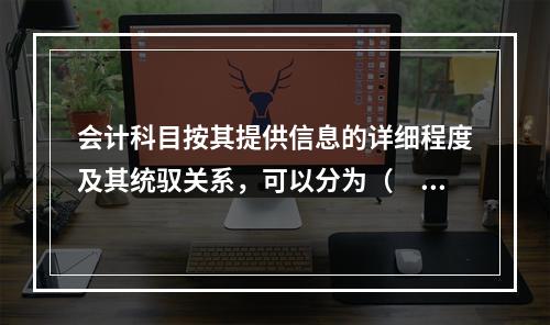 会计科目按其提供信息的详细程度及其统驭关系，可以分为（　　）