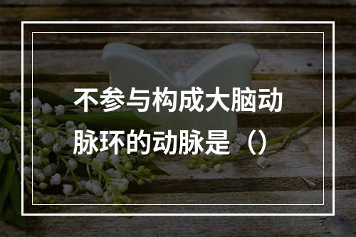 不参与构成大脑动脉环的动脉是（）