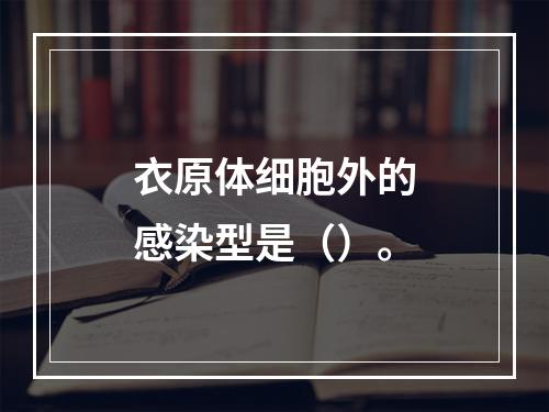 衣原体细胞外的感染型是（）。