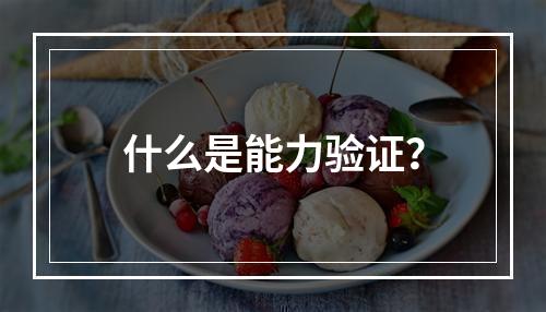 什么是能力验证？