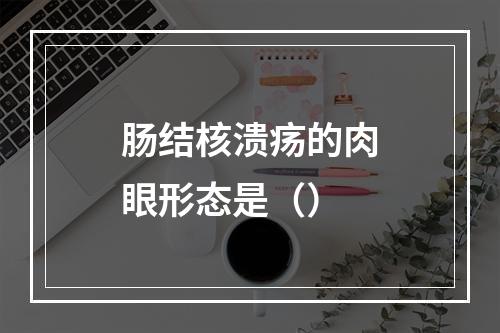 肠结核溃疡的肉眼形态是（）