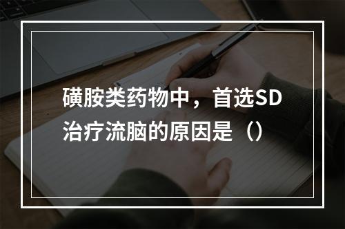 磺胺类药物中，首选SD治疗流脑的原因是（）