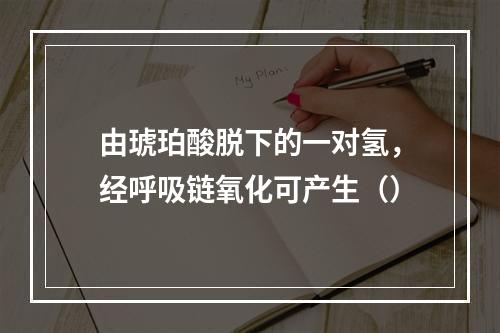 由琥珀酸脱下的一对氢，经呼吸链氧化可产生（）