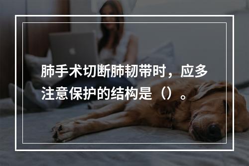 肺手术切断肺韧带时，应多注意保护的结构是（）。