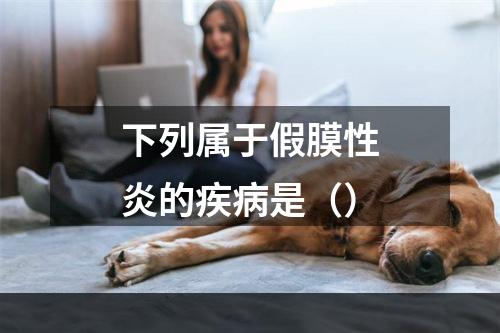 下列属于假膜性炎的疾病是（）