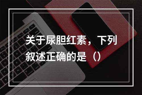 关于尿胆红素，下列叙述正确的是（）