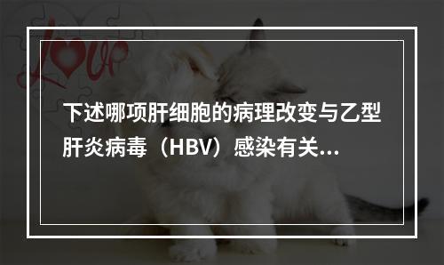 下述哪项肝细胞的病理改变与乙型肝炎病毒（HBV）感染有关？（