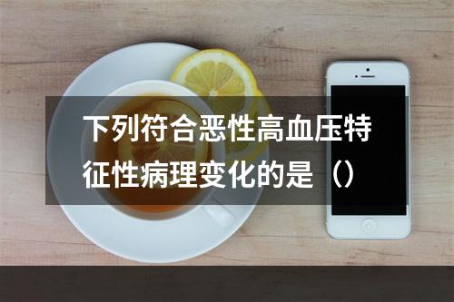 下列符合恶性高血压特征性病理变化的是（）