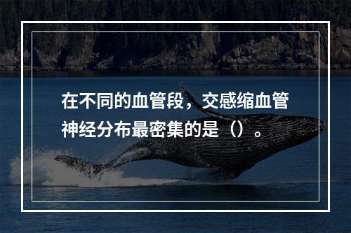 在不同的血管段，交感缩血管神经分布最密集的是（）。