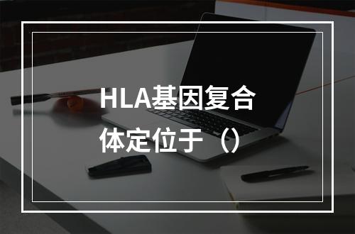 HLA基因复合体定位于（）