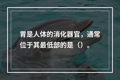 胃是人体的消化器官，通常位于其最低部的是（）。