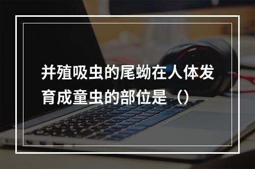 并殖吸虫的尾蚴在人体发育成童虫的部位是（）