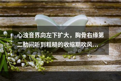 心浊音界向左下扩大，胸骨右缘第二肋间听到粗糙的收缩期吹风样杂