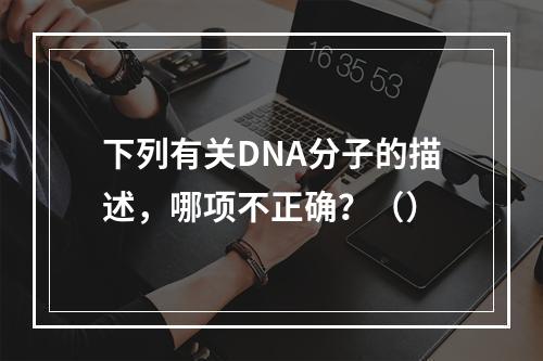 下列有关DNA分子的描述，哪项不正确？（）