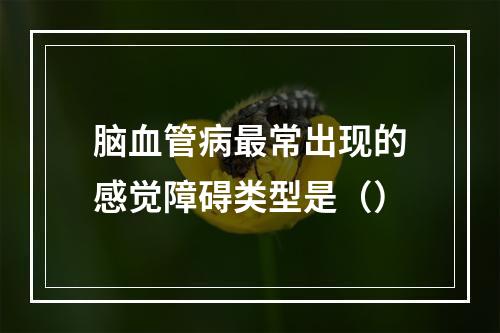 脑血管病最常出现的感觉障碍类型是（）