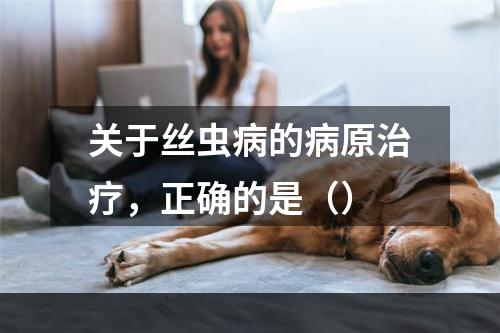 关于丝虫病的病原治疗，正确的是（）