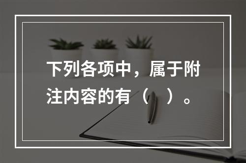 下列各项中，属于附注内容的有（　）。