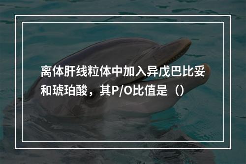 离体肝线粒体中加入异戊巴比妥和琥珀酸，其P/O比值是（）