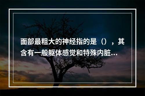 面部最粗大的神经指的是（），其含有一般躯体感觉和特殊内脏运动