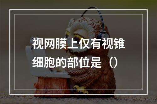 视网膜上仅有视锥细胞的部位是（）