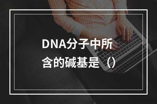 DNA分子中所含的碱基是（）