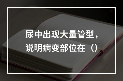 尿中出现大量管型，说明病变部位在（）