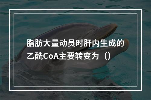 脂肪大量动员时肝内生成的乙酰CoA主要转变为（）