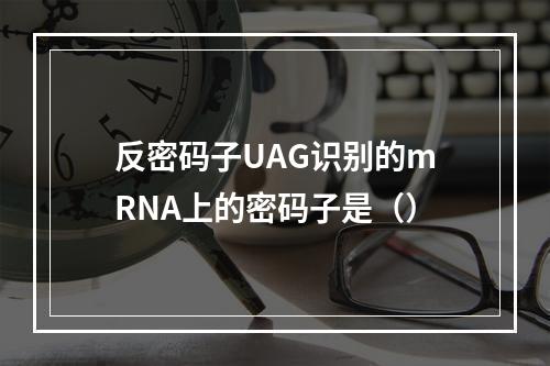 反密码子UAG识别的mRNA上的密码子是（）