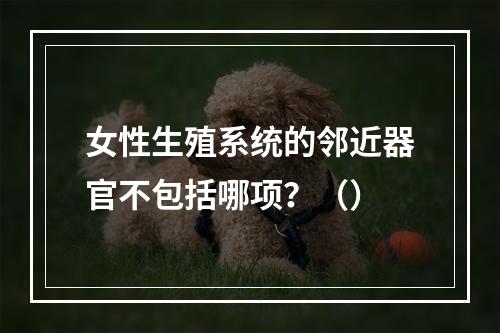 女性生殖系统的邻近器官不包括哪项？（）